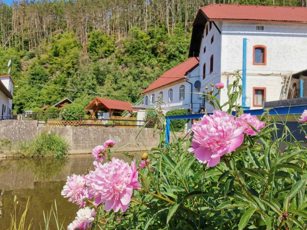 Cechuv Mlyn Apartamento Hrebecniky Exterior foto